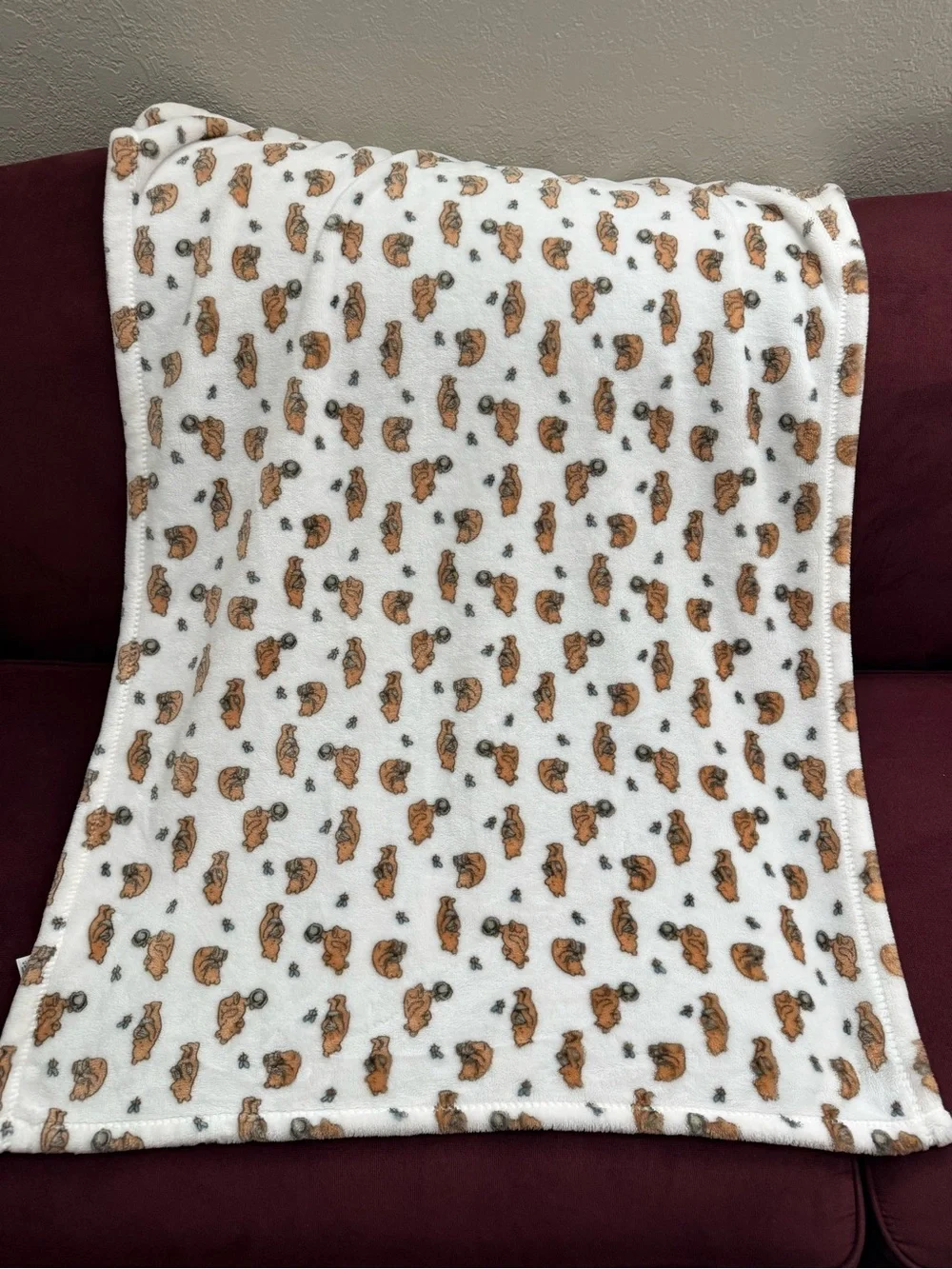 2 Pooh Bear Collection Winnie the Pooh Plush Blankets BUNDLE
